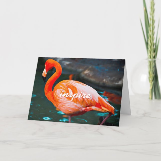 Pink Flamingo Photo Inspire Script Stylish Modern Card (Front)