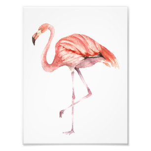 Pink Flamingo Photo Print