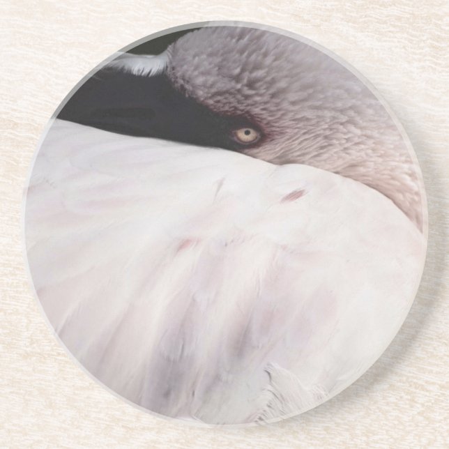Pink Flamingo Portrait Drawing Effect Art Coaster (Front)