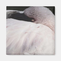 Pink Flamingo Portrait Drawing Effect Art
