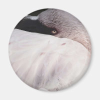 Pink Flamingo Portrait Drawing Effect Art
