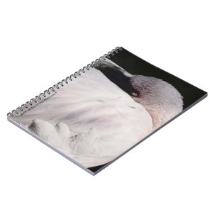 Pink Flamingo Portrait Drawing Effect Art Notebook