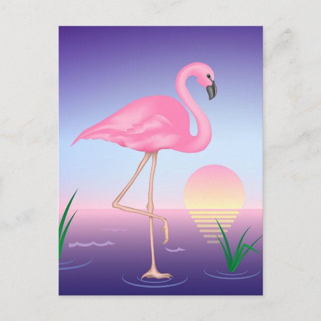 Pink Flamingo Postcard (Front)