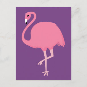Pink Flamingo postcard