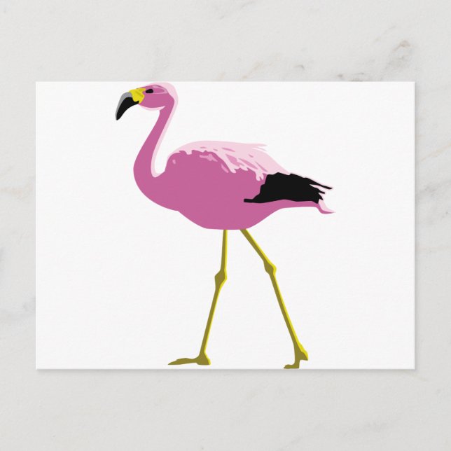 Pink Flamingo Postcard (Front)