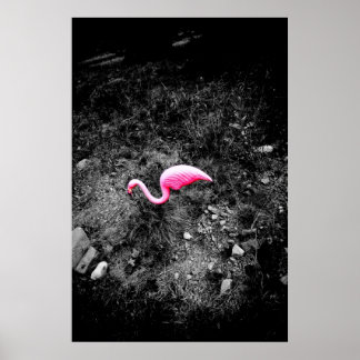 pink flamingo poster