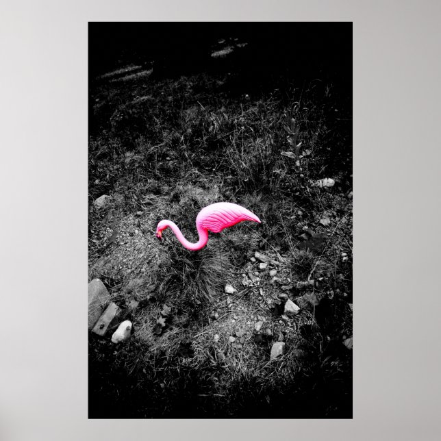 pink flamingo poster (Front)
