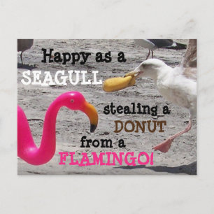 Pink Flamingo Seagull Doughnut Beach Vacation Humo Postcard