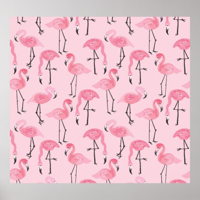 Pink Flamingo Set, Tropical Summer Pattern. Poster (Front)