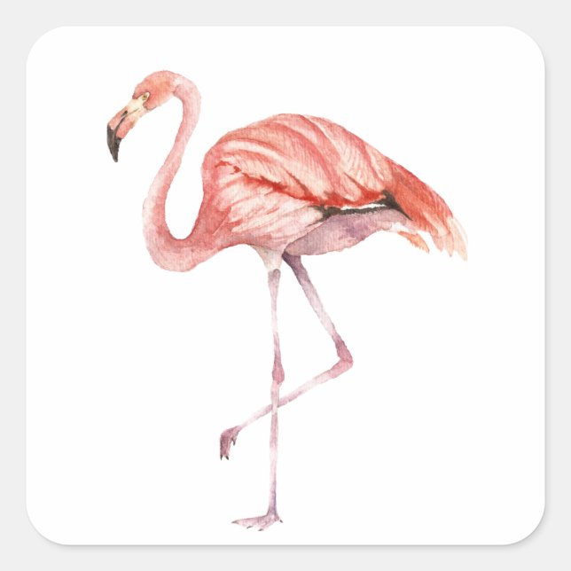 Pink Flamingo Square Sticker (Front)