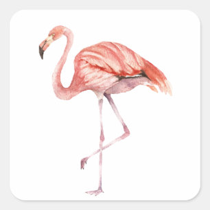 Pink Flamingo Square Sticker