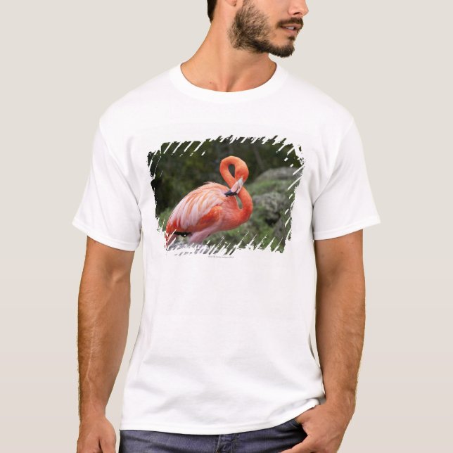 Pink Flamingo T-Shirt (Front)