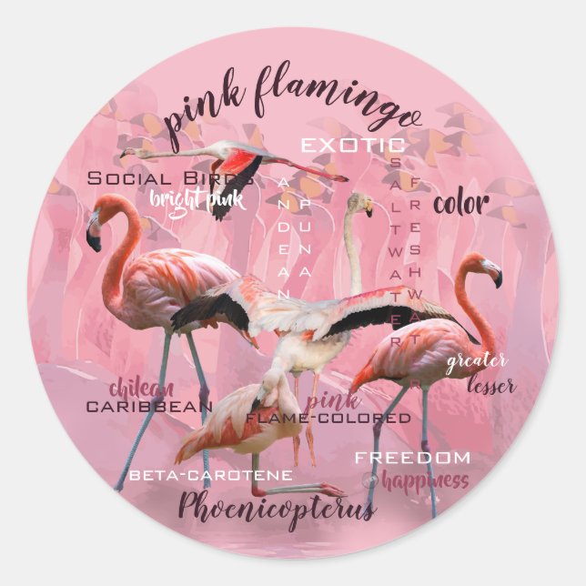 Pink Flamingo Typography | Customised Classic Round Sticker (Front)