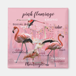 Pink Flamingo Typography Customised Magnet
