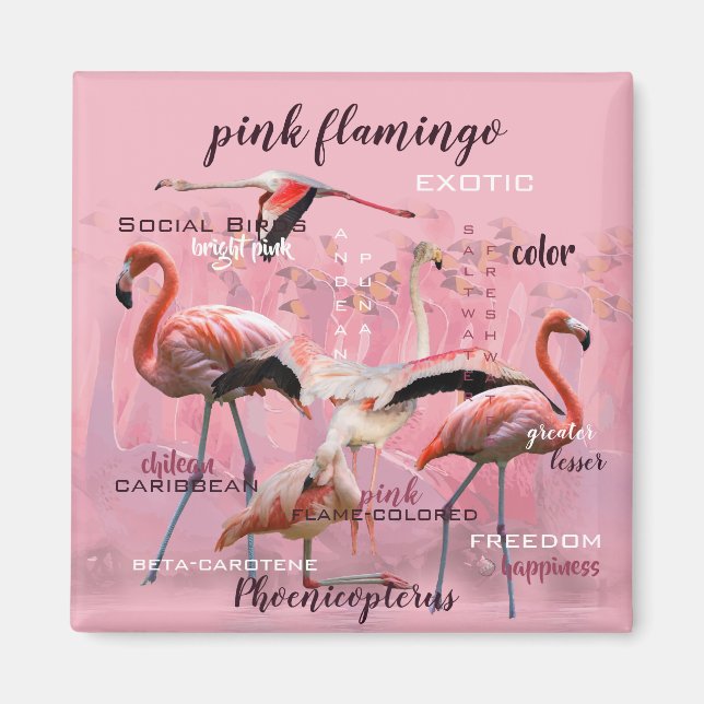 Pink Flamingo Typography | Customised Magnet (Front)