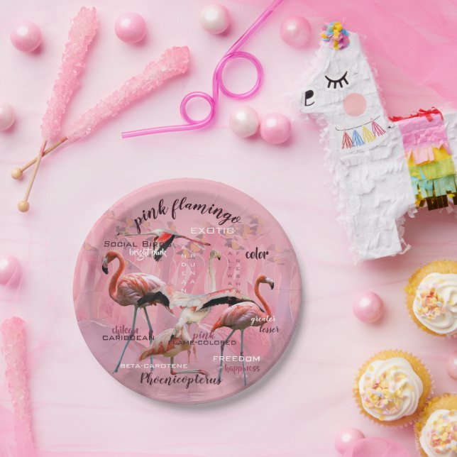 Pink Flamingo Typography | Customised Paper Plate (Party)
