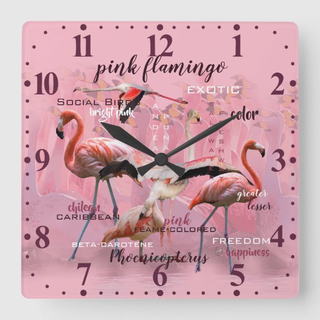 Pink Flamingo Typography | Customised Square Wall Clock (Front)