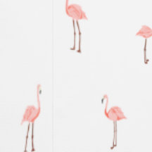Pink Flamingo