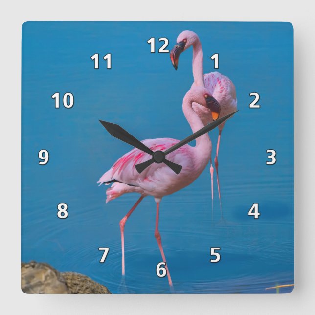 Pink Flamingos at the Lake Square Wall Clock (Front)