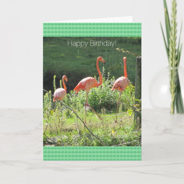 Pink Flamingos Birthday Greetings Card (Front)
