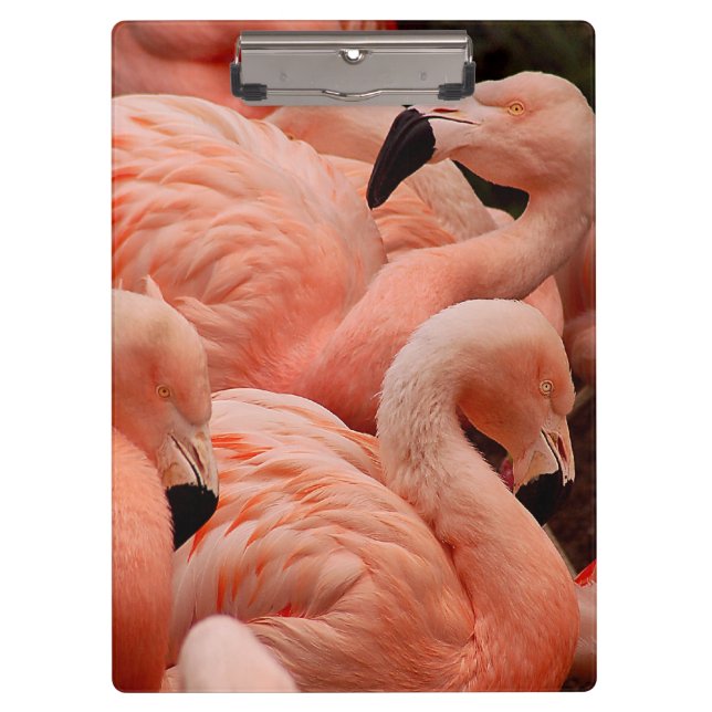 Pink flamingos clipboard (Front)