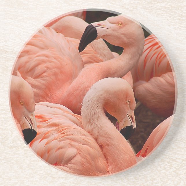 Pink flamingos coaster (Front)