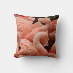 Pink flamingos cushion