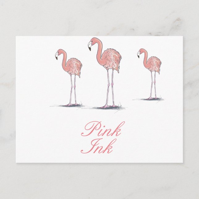 Pink Flamingos Fun Cute Drawing Postcard (Front)
