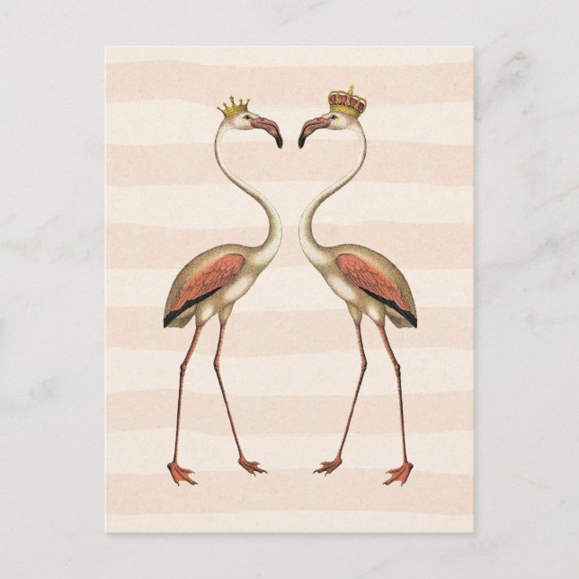 Pink Flamingos in Crowns Postcard (Front)