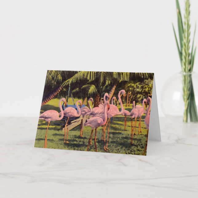 Pink Flamingos in Florida Card (Front)
