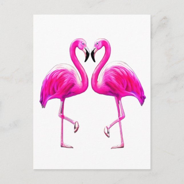Pink Flamingos In Love  Postcard (Front)