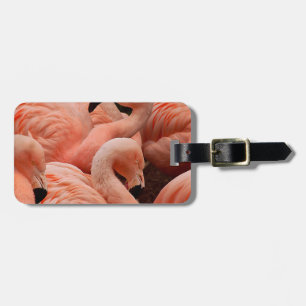Pink flamingos luggage tag