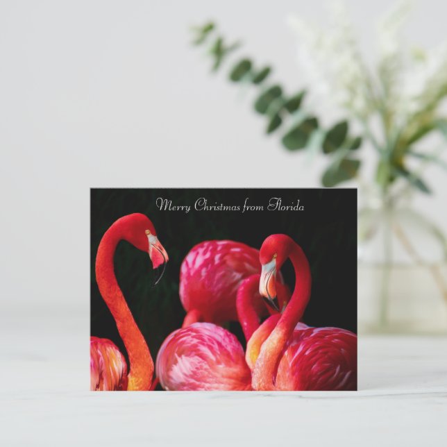 Pink Flamingo's ,Merry Christmas from Florida Holiday Postcard (Standing Front)