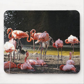 Pink Flamingos Mouse Pad
