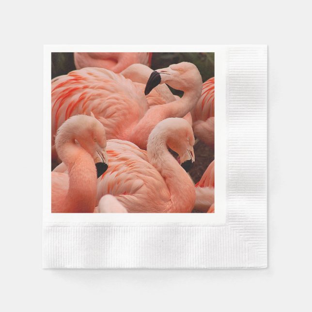Pink flamingos napkin (Front)
