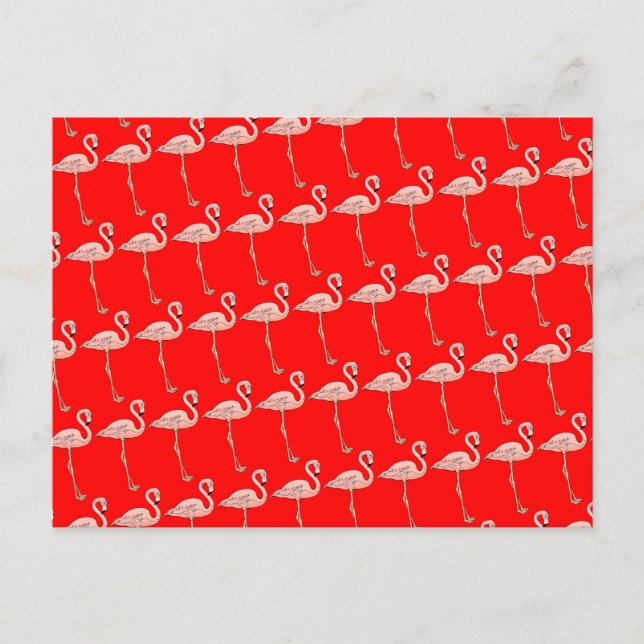 Pink Flamingos on Parade Postcard (Front)
