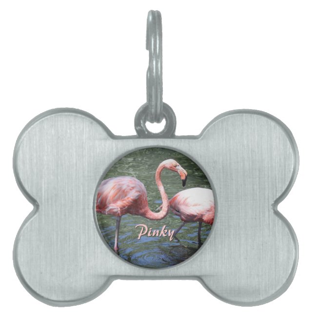 Pink Flamingos Pet Tag (Front)