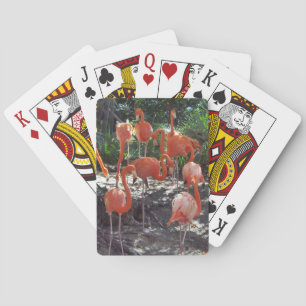 Pink Flamingos Playing Cards