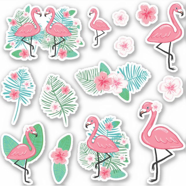 Pink Flamingos & Plumeria (Front)