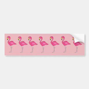 Pink Flamingos Tropical Island Flamingo Bird Bumper Sticker