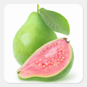 Pink fleshed guava square sticker