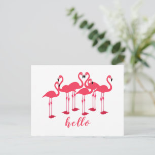 Pink Flock Of Flamingos "Hello" Postcard