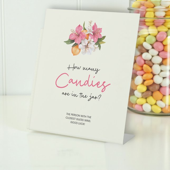 Pink Floral Baby Shower Candy Guess Game Sign (Creator Uploaded)