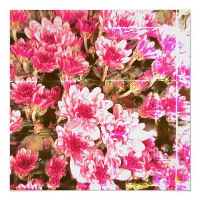 Pink Floral Bloom Pattern – Soft Botanical Design Poster (Front)
