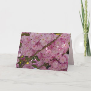 Pink Floral & Butterfly Card