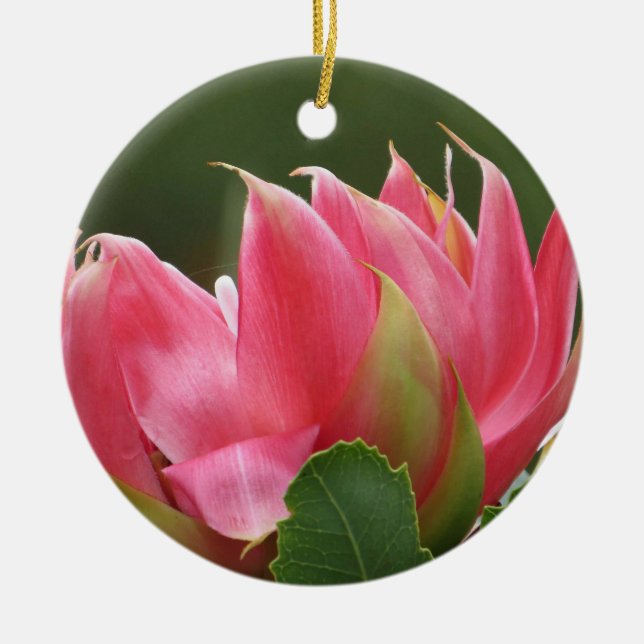 Pink Floral Ceramic Ornament (Front)