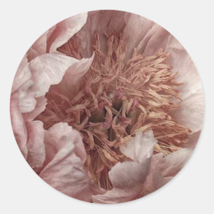 Pink floral classic round sticker