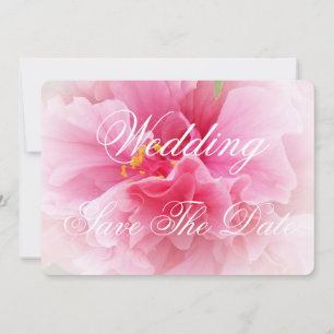 Pink Floral Design Wedding Save The Date