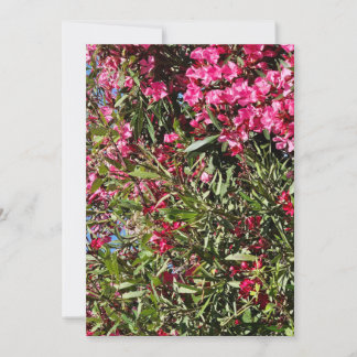 Pink floral invitation