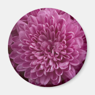 Pink Floral Magnet